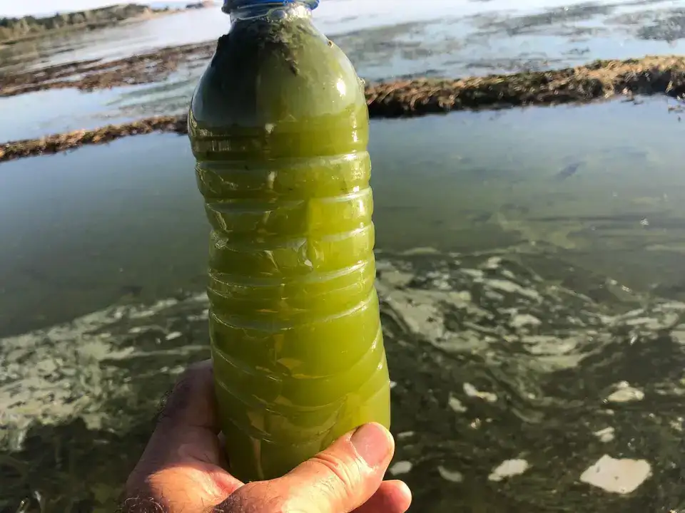 Eğirdir Gölü’nde Bulanıklaşma Riski 6